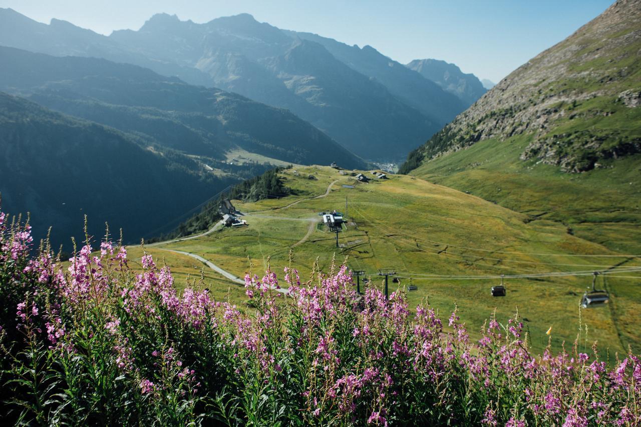 Gressoney-la-Trinité Albergo Ristoro Sitten - 2300 Mt מראה חיצוני תמונה